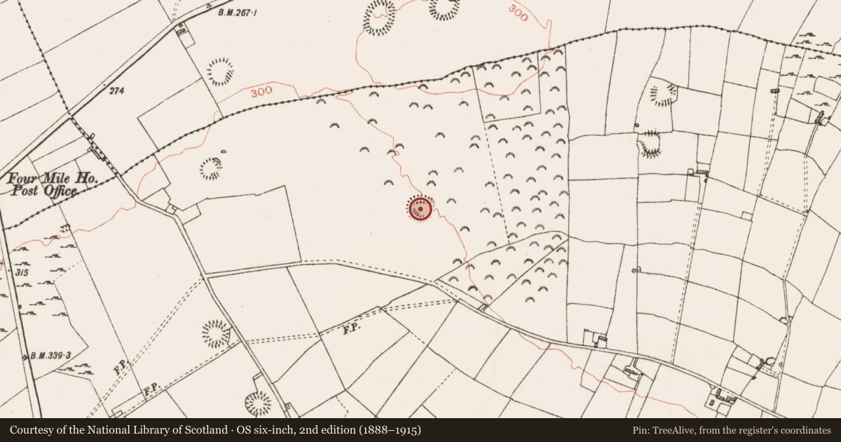 Ordnance Survey six-inch map, 2nd edition (1888–1915) covering the location of Ringfort - rath, Ballinderry, County Roscommon, with a pin at the register's coordinates