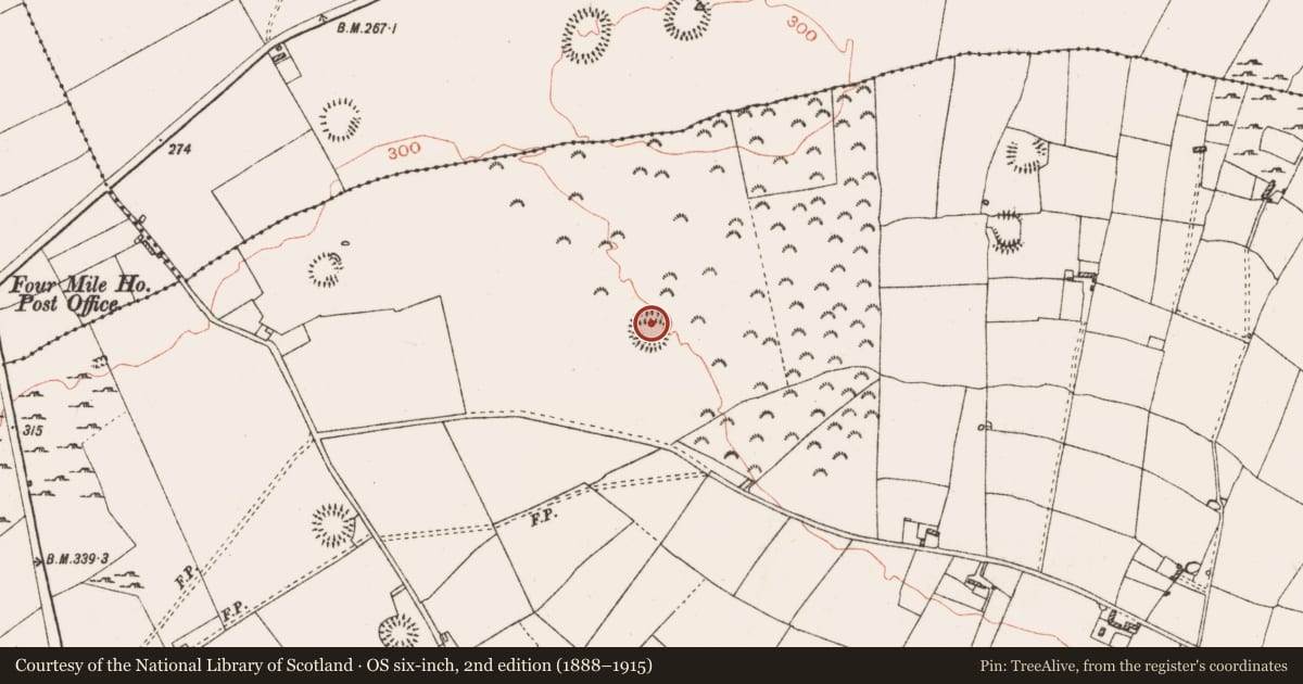Ordnance Survey six-inch map, 2nd edition (1888–1915) covering the location of Cairn - clearance cairn, Ballinderry, County Roscommon, with a pin at the register's coordinates