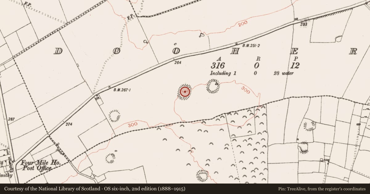 Ordnance Survey six-inch map, 2nd edition (1888–1915) covering the location of Ringfort - rath, Dooherty, County Roscommon, with a pin at the register's coordinates