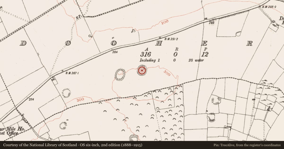 Ordnance Survey six-inch map, 2nd edition (1888–1915) covering the location of Ringfort - rath, Dooherty, County Roscommon, with a pin at the register's coordinates