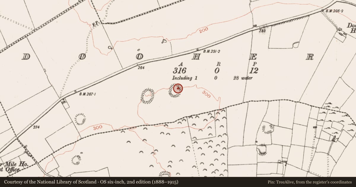 Ordnance Survey six-inch map, 2nd edition (1888–1915) covering the location of Souterrain, Dooherty, County Roscommon, with a pin at the register's coordinates