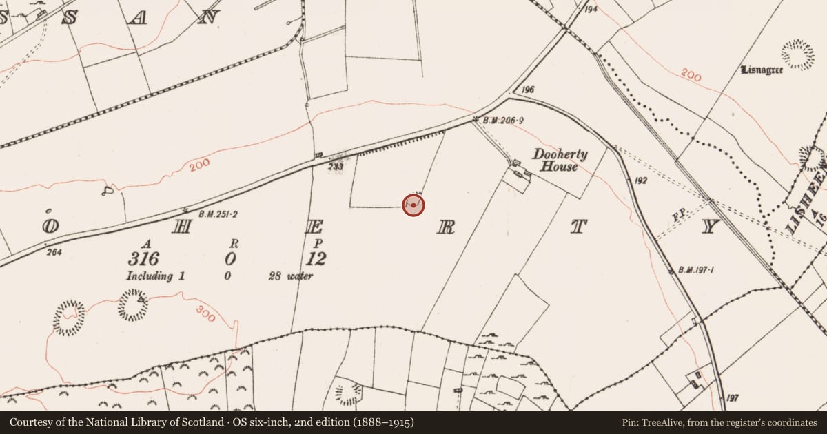 Ordnance Survey six-inch map, 2nd edition (1888–1915) covering the location of Ringfort - rath, Dooherty, County Roscommon, with a pin at the register's coordinates