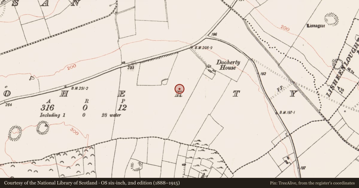Ordnance Survey six-inch map, 2nd edition (1888–1915) covering the location of Field system, Dooherty, County Roscommon, with a pin at the register's coordinates