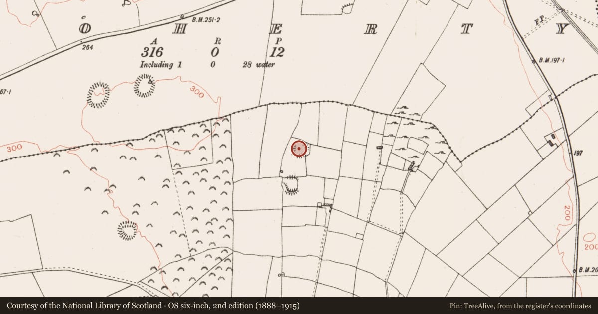 Ordnance Survey six-inch map, 2nd edition (1888–1915) covering the location of Ringfort - rath, Ballinderry, County Roscommon, with a pin at the register's coordinates