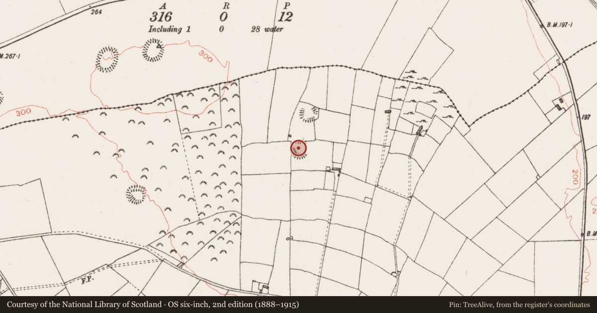 Ordnance Survey six-inch map, 2nd edition (1888–1915) covering the location of Ringfort - rath, Ballinderry, County Roscommon, with a pin at the register's coordinates