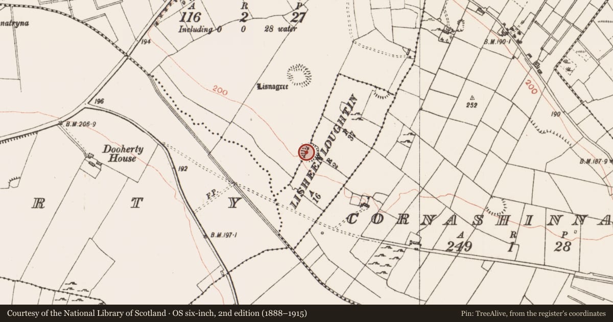Ordnance Survey six-inch map, 2nd edition (1888–1915) covering the location of Ringfort - rath, Lisheenloughtin, Leitrim, County Roscommon, with a pin at the register's coordinates