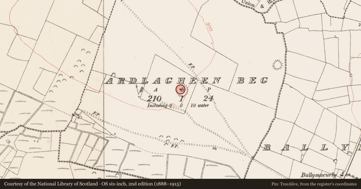 Ordnance Survey six-inch map, 2nd edition (1888–1915) covering the location of Ringfort - rath, Ardlagheen Beg, County Roscommon, with a pin at the register's coordinates