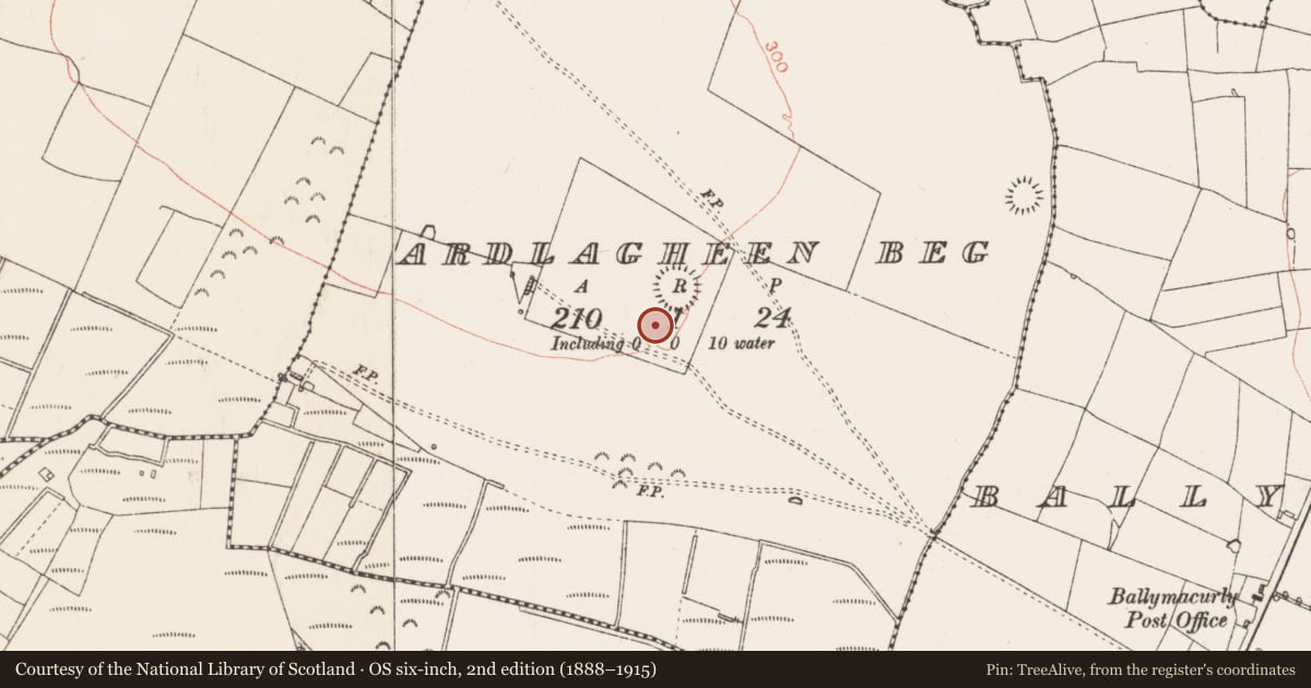 Ordnance Survey six-inch map, 2nd edition (1888–1915) covering the location of Enclosure, Ardlagheen Beg, County Roscommon, with a pin at the register's coordinates