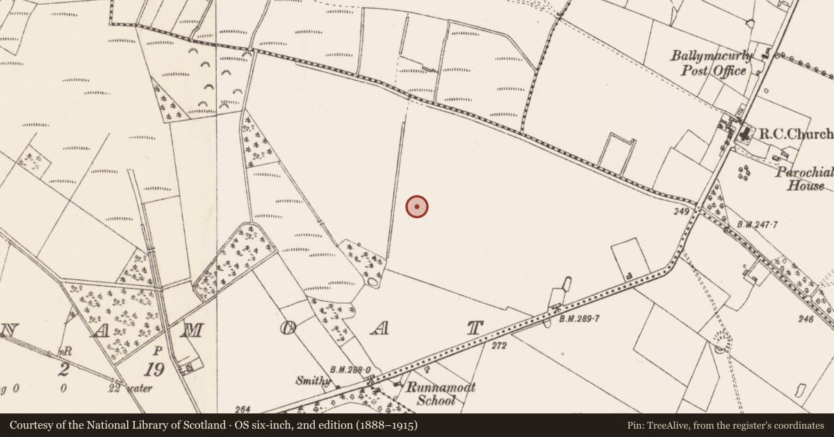 Ordnance Survey six-inch map, 2nd edition (1888–1915) covering the location of Ringfort - rath, Runnamoat, County Roscommon, with a pin at the register's coordinates