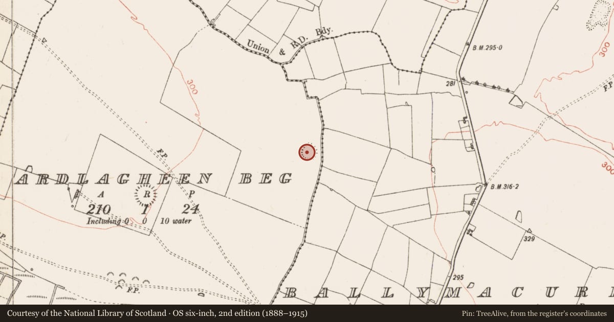 Ordnance Survey six-inch map, 2nd edition (1888–1915) covering the location of Ringfort - rath, Ardlagheen Beg, County Roscommon, with a pin at the register's coordinates