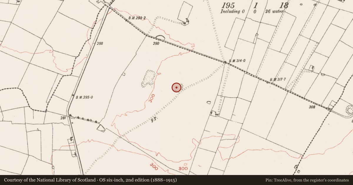 Ordnance Survey six-inch map, 2nd edition (1888–1915) covering the location of Ringfort - rath, Ballymacurly South, County Roscommon, with a pin at the register's coordinates