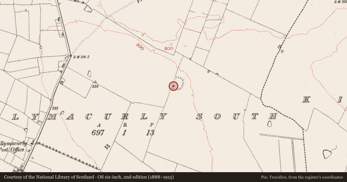 Ordnance Survey six-inch map, 2nd edition (1888–1915) covering the location of Souterrain, Ballymacurly South, County Roscommon, with a pin at the register's coordinates