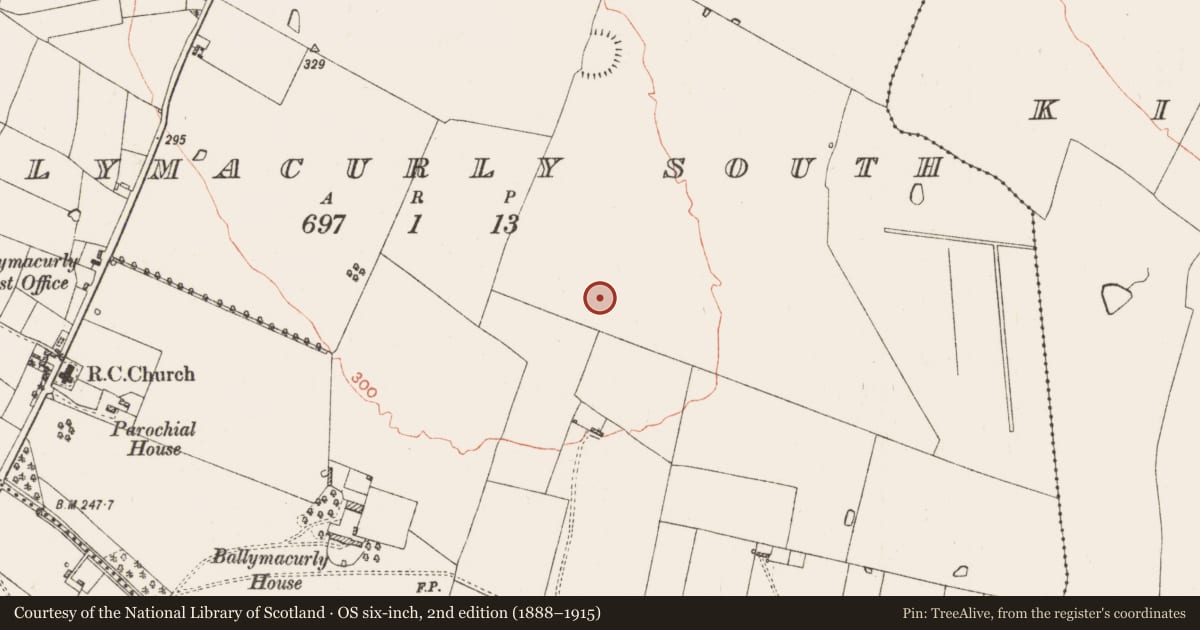 Ordnance Survey six-inch map, 2nd edition (1888–1915) covering the location of Ringfort - rath, Ballymacurly South, County Roscommon, with a pin at the register's coordinates