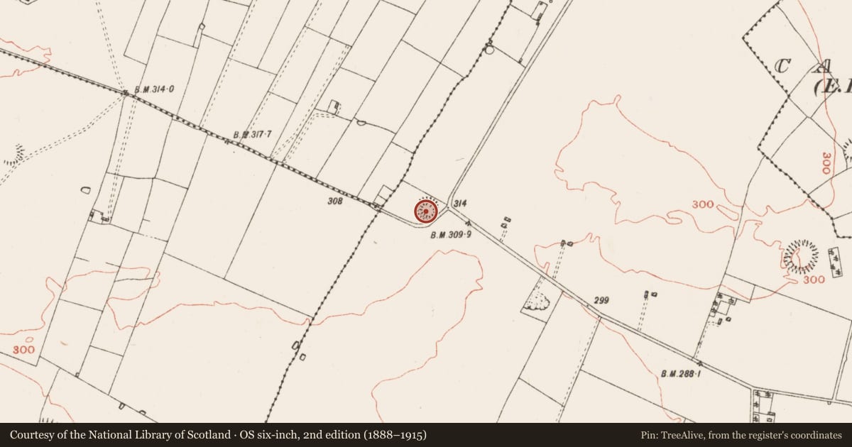Ordnance Survey six-inch map, 2nd edition (1888–1915) covering the location of Ringfort - rath, Kiltultoge, County Roscommon, with a pin at the register's coordinates