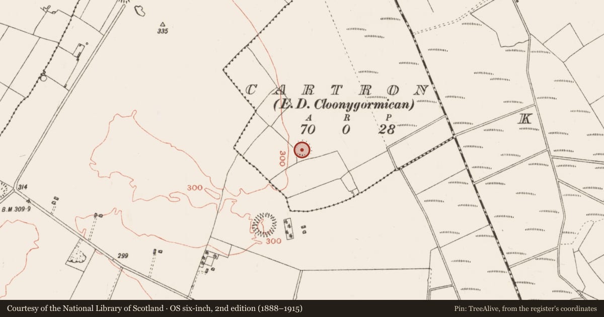 Ordnance Survey six-inch map, 2nd edition (1888–1915) covering the location of Ringfort - rath, Cartron, County Roscommon, with a pin at the register's coordinates