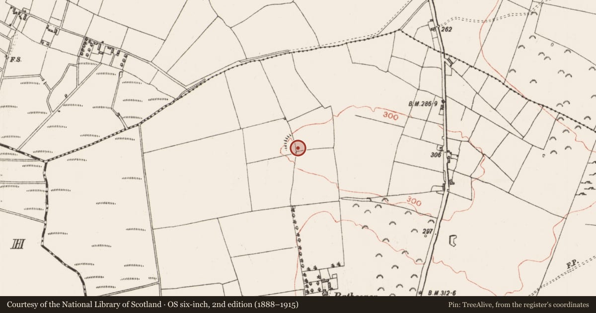 Ordnance Survey six-inch map, 2nd edition (1888–1915) covering the location of Ringfort - rath, Rathconor, County Roscommon, with a pin at the register's coordinates