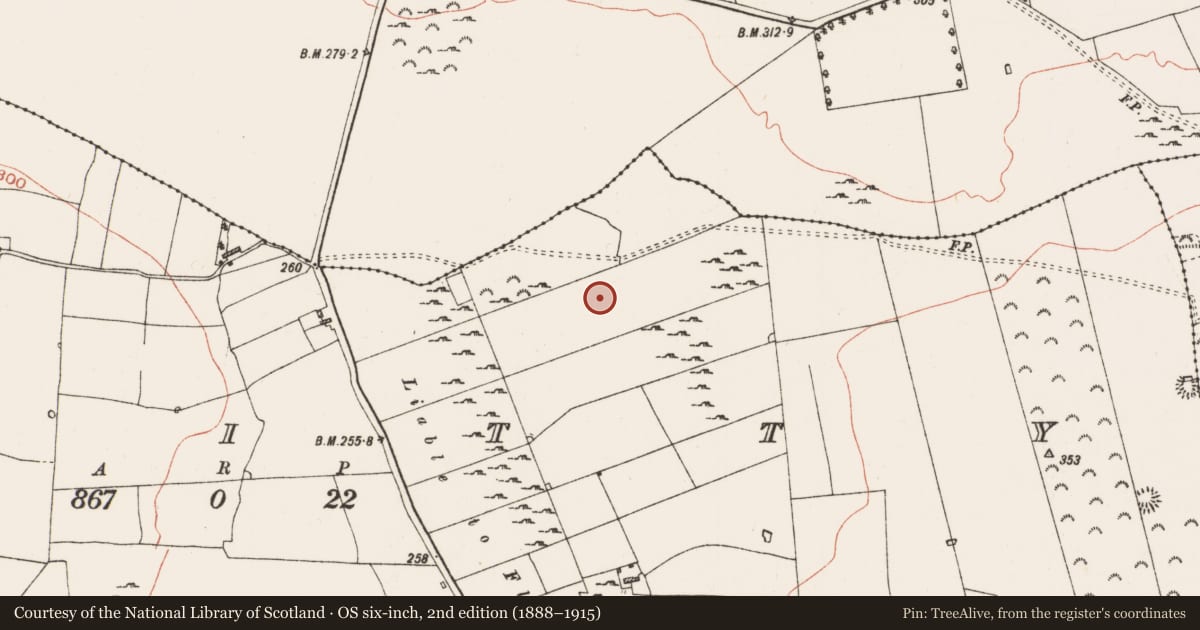 Ordnance Survey six-inch map, 2nd edition (1888–1915) covering the location of Enclosure, Kinitty, County Roscommon, with a pin at the register's coordinates