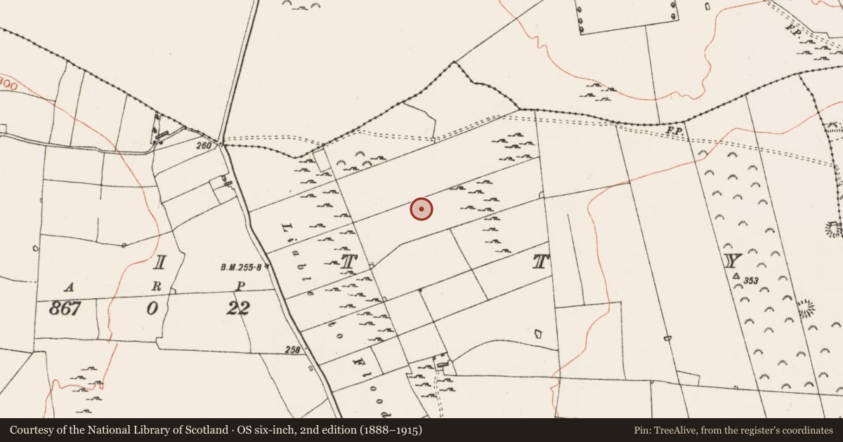 Ordnance Survey six-inch map, 2nd edition (1888–1915) covering the location of Field system, Kinitty, County Roscommon, with a pin at the register's coordinates