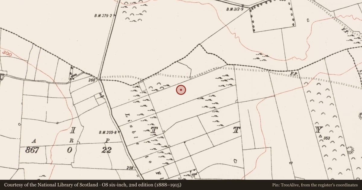 Ordnance Survey six-inch map, 2nd edition (1888–1915) covering the location of House - indeterminate date, Kinitty, County Roscommon, with a pin at the register's coordinates