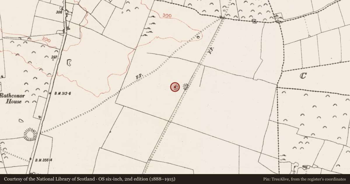 Ordnance Survey six-inch map, 2nd edition (1888–1915) covering the location of Barrow - ring-barrow, Rathconor, County Roscommon, with a pin at the register's coordinates