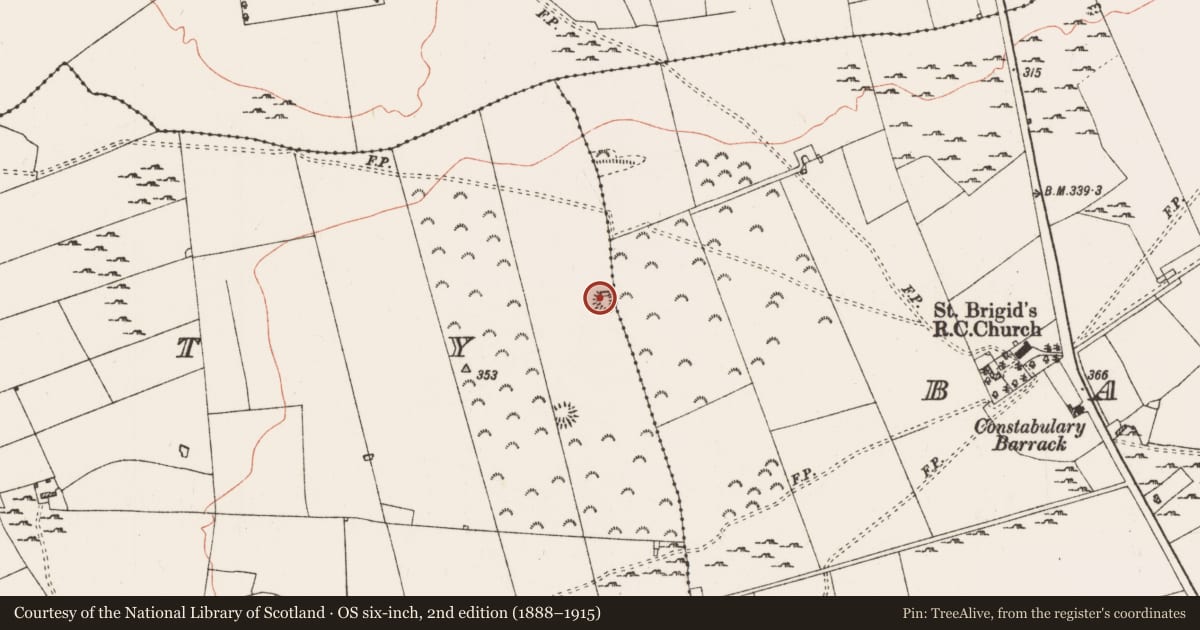 Ordnance Survey six-inch map, 2nd edition (1888–1915) covering the location of Barrow - ring-barrow, Kinitty, County Roscommon, with a pin at the register's coordinates