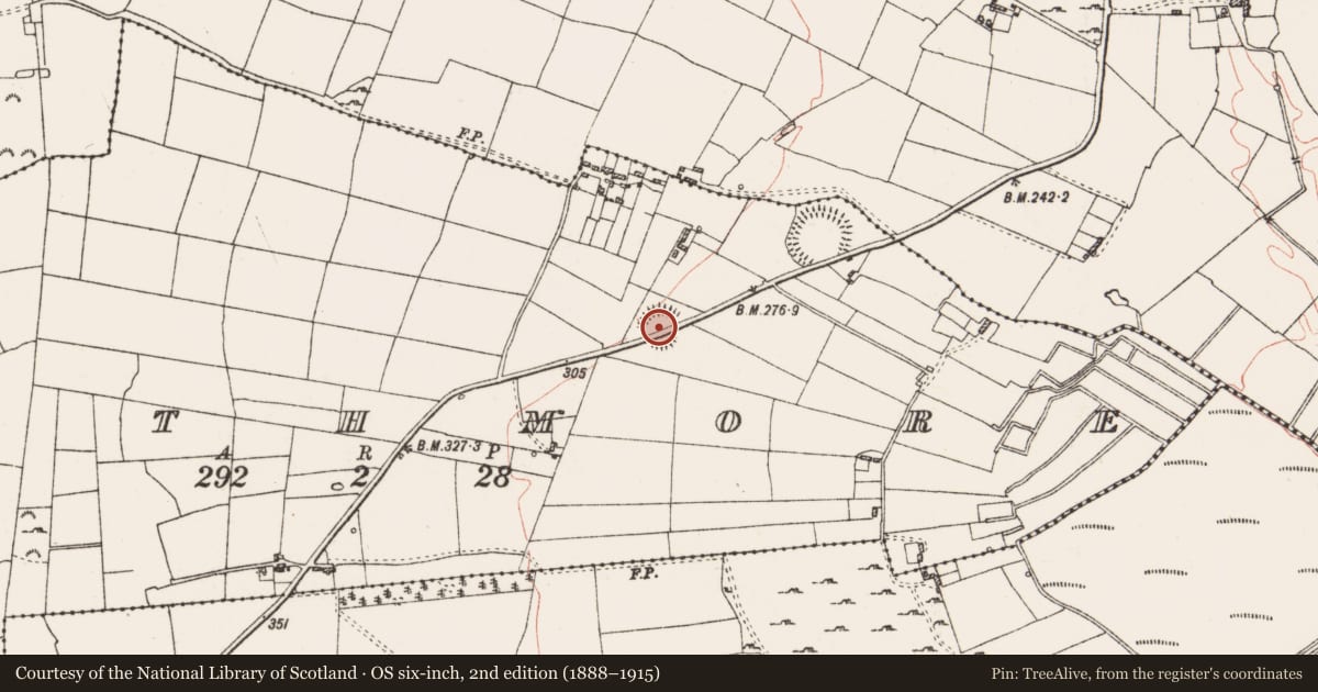Ordnance Survey six-inch map, 2nd edition (1888–1915) covering the location of Ringfort - rath, Rathmore, County Roscommon, with a pin at the register's coordinates