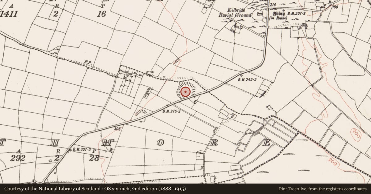 Ordnance Survey six-inch map, 2nd edition (1888–1915) covering the location of Ringfort - rath, Rathmore, County Roscommon, with a pin at the register's coordinates