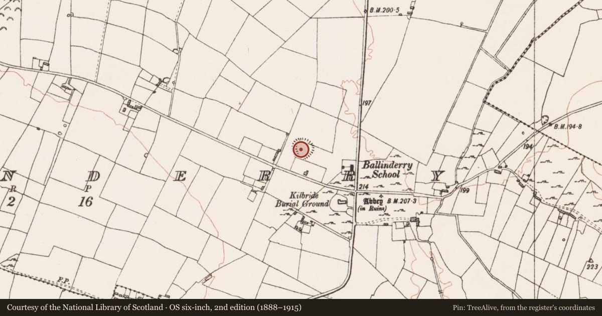 Ordnance Survey six-inch map, 2nd edition (1888–1915) covering the location of Ringfort - rath, Ballinderry, County Roscommon, with a pin at the register's coordinates