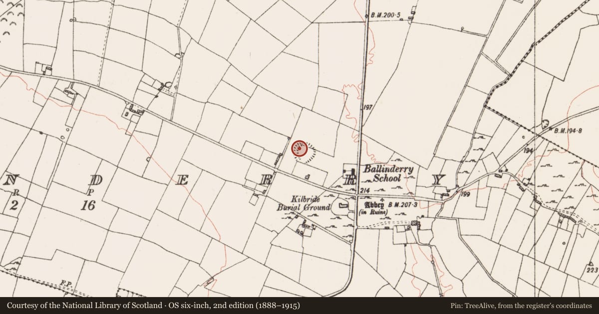 Ordnance Survey six-inch map, 2nd edition (1888–1915) covering the location of Souterrain, Ballinderry, County Roscommon, with a pin at the register's coordinates