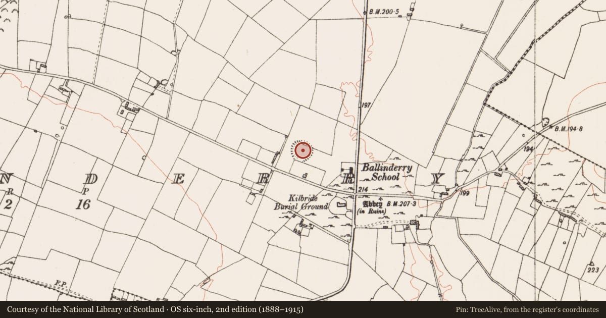 Ordnance Survey six-inch map, 2nd edition (1888–1915) covering the location of Cairn - clearance cairn, Ballinderry, County Roscommon, with a pin at the register's coordinates
