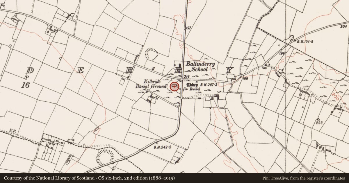 Ordnance Survey six-inch map, 2nd edition (1888–1915) covering the location of Architectural fragment, Ballinderry, County Roscommon, with a pin at the register's coordinates