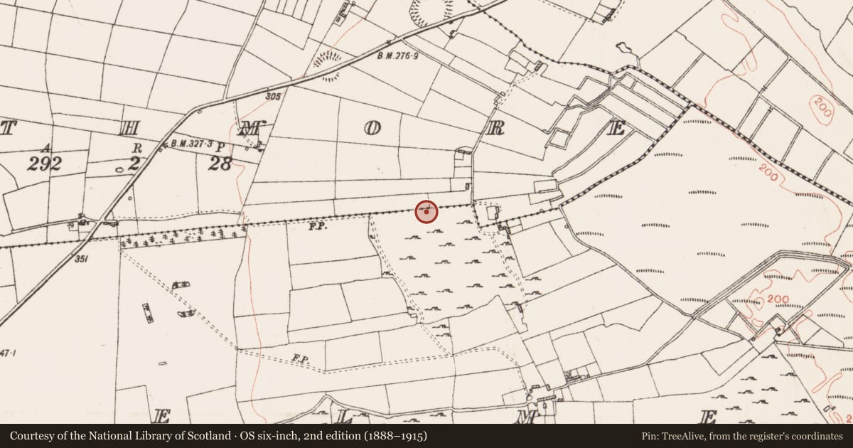 Ordnance Survey six-inch map, 2nd edition (1888–1915) covering the location of House - indeterminate date, Cashelmeehan, County Roscommon, with a pin at the register's coordinates