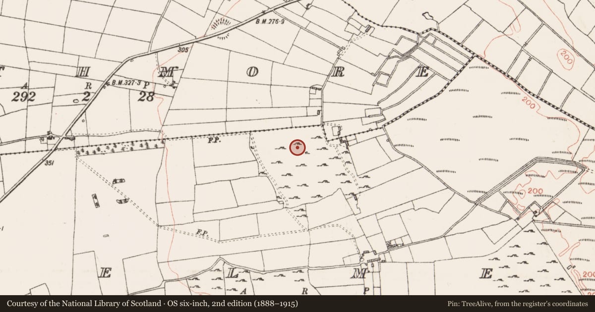 Ordnance Survey six-inch map, 2nd edition (1888–1915) covering the location of Field system, Cashelmeehan, County Roscommon, with a pin at the register's coordinates