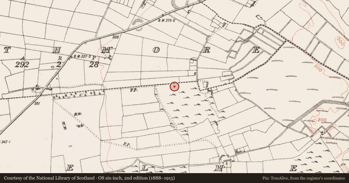 Ordnance Survey six-inch map, 2nd edition (1888–1915) covering the location of House - indeterminate date, Cashelmeehan, County Roscommon, with a pin at the register's coordinates