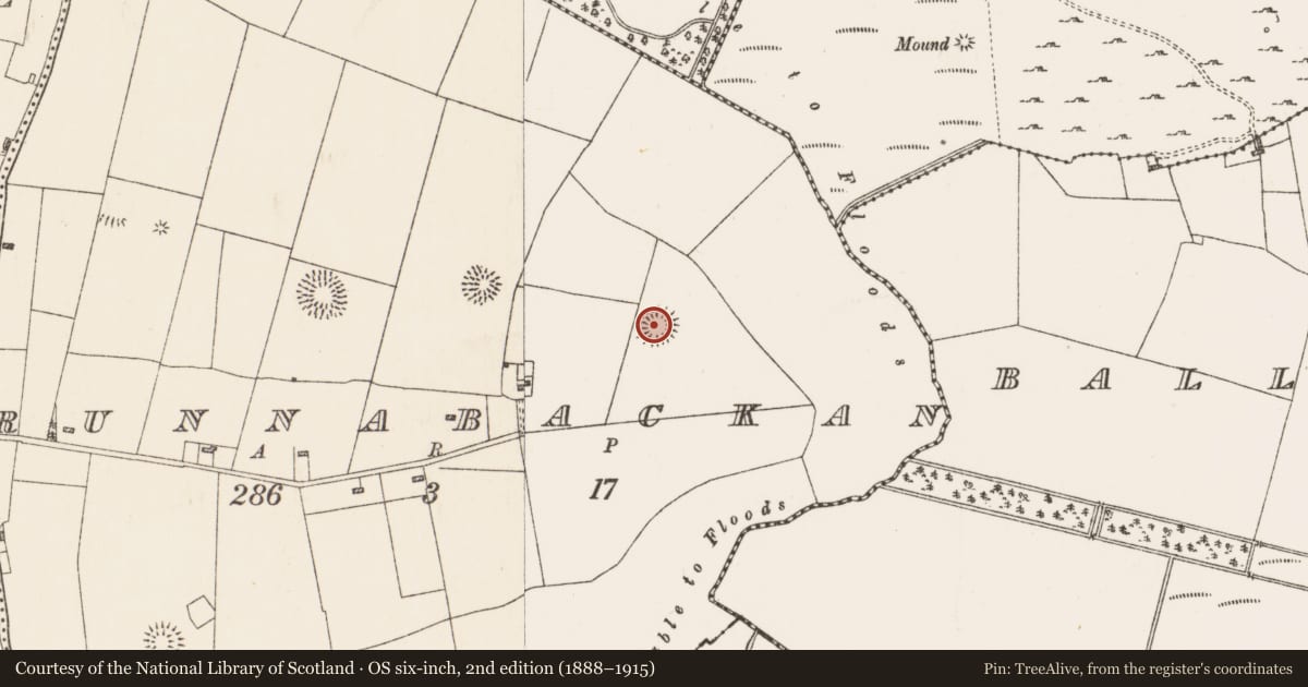 Ordnance Survey six-inch map, 2nd edition (1888–1915) covering the location of Ringfort - rath, Runnabackan, County Roscommon, with a pin at the register's coordinates