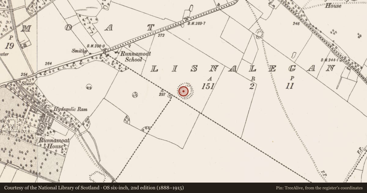 Ordnance Survey six-inch map, 2nd edition (1888–1915) covering the location of Ringfort - rath, Lisnalegan, County Roscommon, with a pin at the register's coordinates