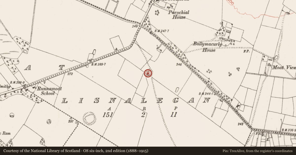 Ordnance Survey six-inch map, 2nd edition (1888–1915) covering the location of Ringfort - rath, Lisnalegan, County Roscommon, with a pin at the register's coordinates