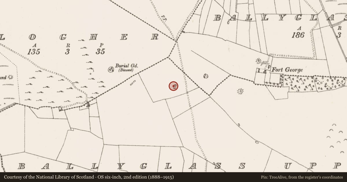 Ordnance Survey six-inch map, 2nd edition (1888–1915) covering the location of Enclosure, Ballyglass Upper, County Roscommon, with a pin at the register's coordinates