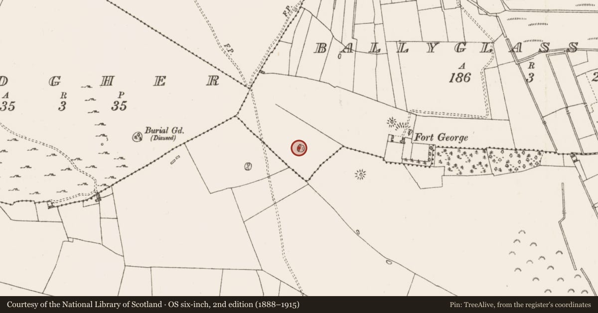 Ordnance Survey six-inch map, 2nd edition (1888–1915) covering the location of Enclosure, Ballyglass Lower, County Roscommon, with a pin at the register's coordinates