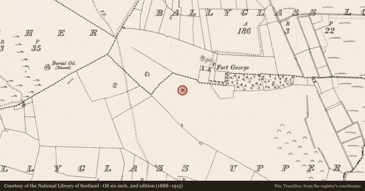 Ordnance Survey six-inch map, 2nd edition (1888–1915) covering the location of Enclosure, Ballyglass Upper, County Roscommon, with a pin at the register's coordinates