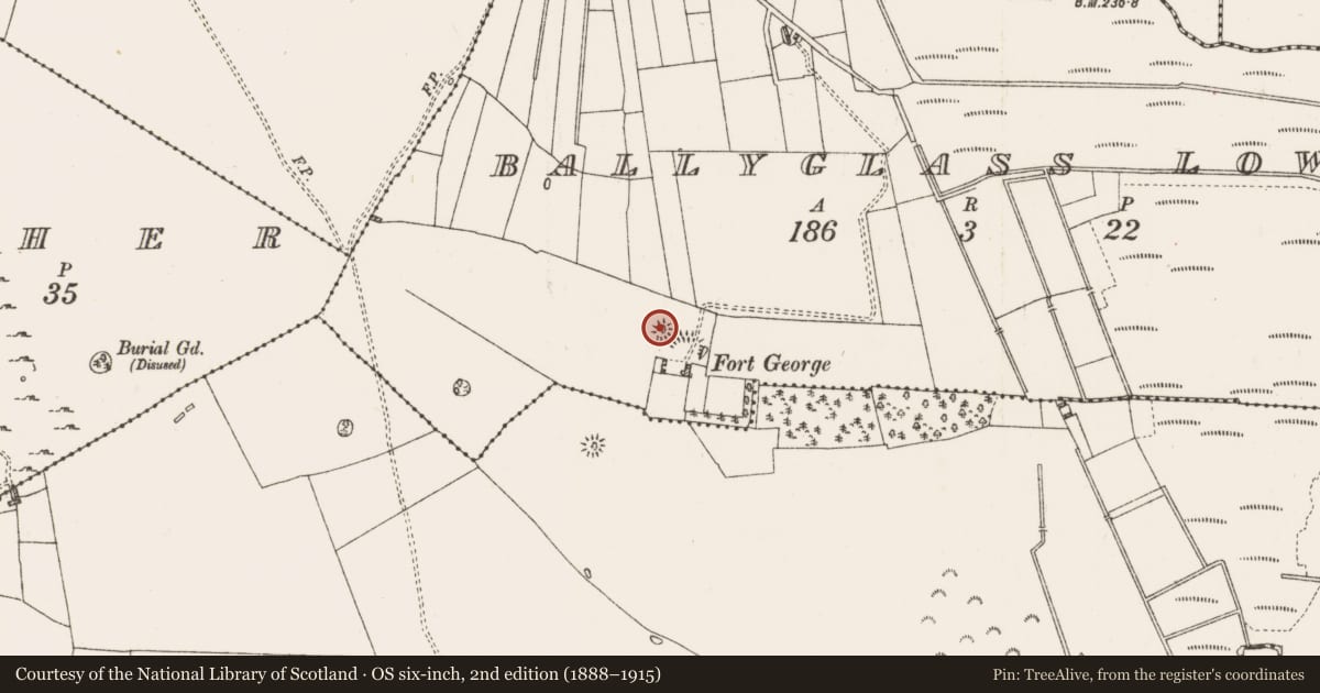 Ordnance Survey six-inch map, 2nd edition (1888–1915) covering the location of Enclosure, Ballyglass Lower, County Roscommon, with a pin at the register's coordinates