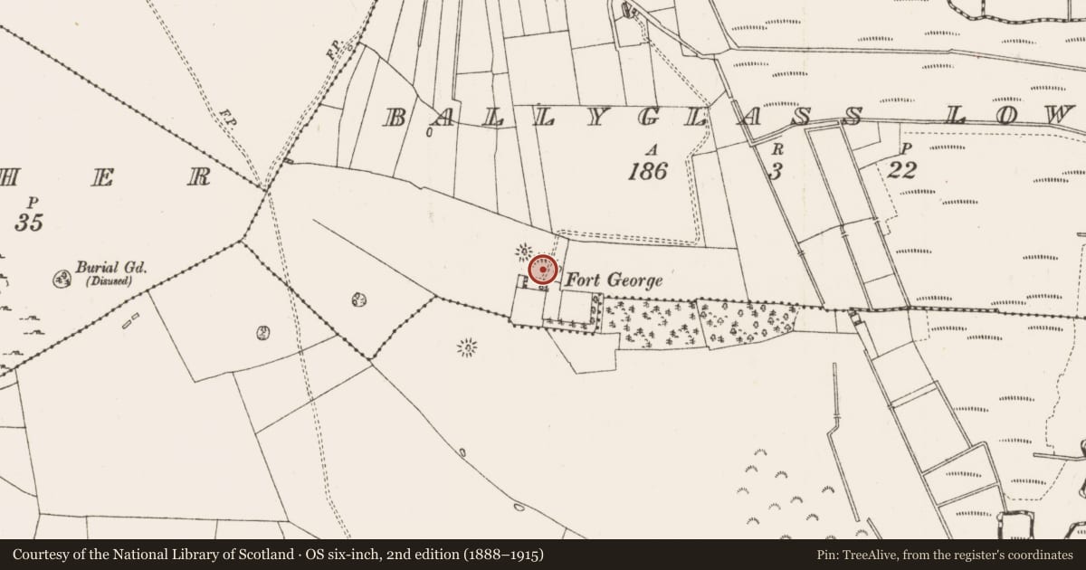 Ordnance Survey six-inch map, 2nd edition (1888–1915) covering the location of Enclosure, Ballyglass Lower, County Roscommon, with a pin at the register's coordinates