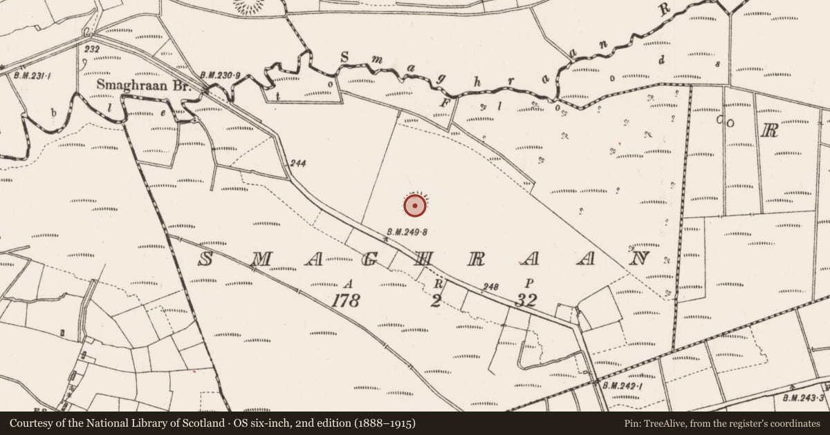 Ordnance Survey six-inch map, 2nd edition (1888–1915) covering the location of Ringfort - rath, Smaghraan, County Roscommon, with a pin at the register's coordinates
