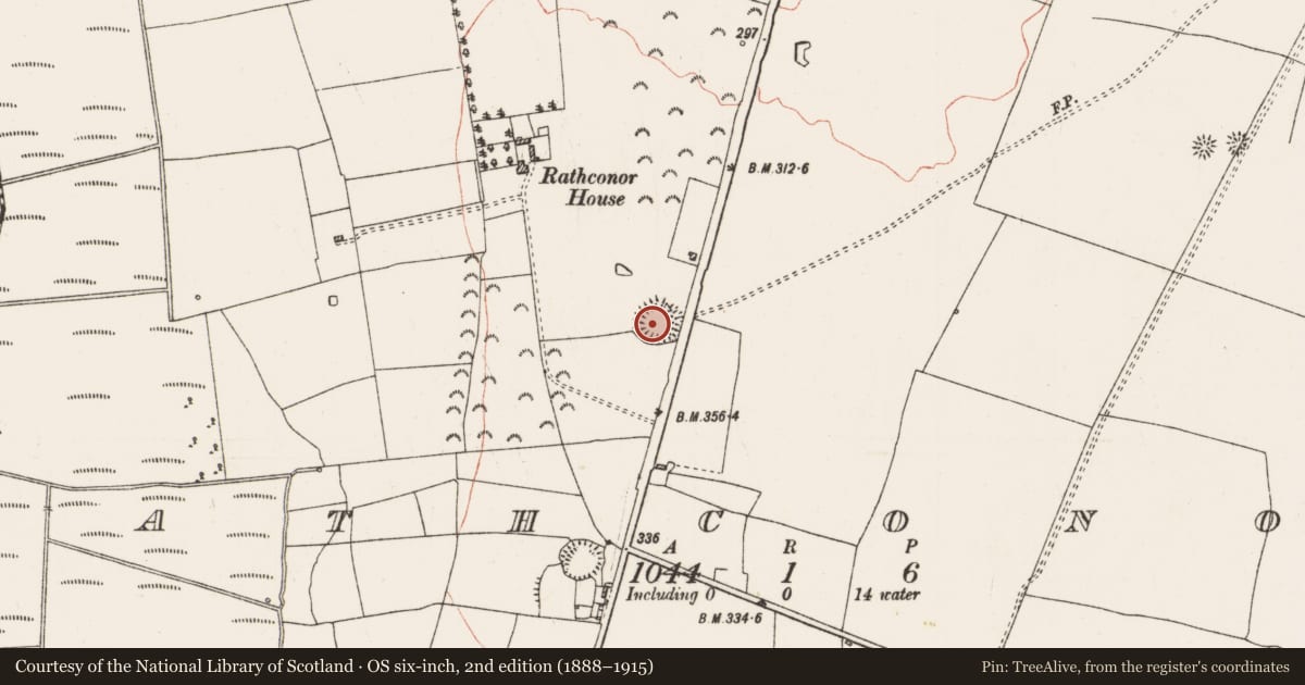 Ordnance Survey six-inch map, 2nd edition (1888–1915) covering the location of Ringfort - rath, Rathconor, County Roscommon, with a pin at the register's coordinates