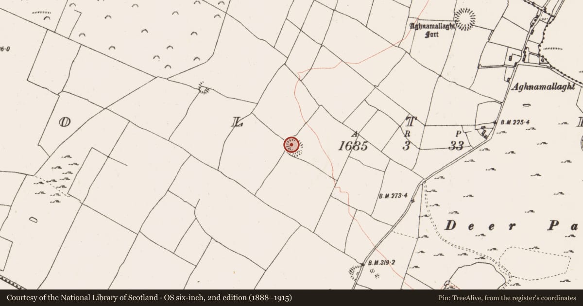 Ordnance Survey six-inch map, 2nd edition (1888–1915) covering the location of Ringfort - rath, Coolteige, County Roscommon, with a pin at the register's coordinates