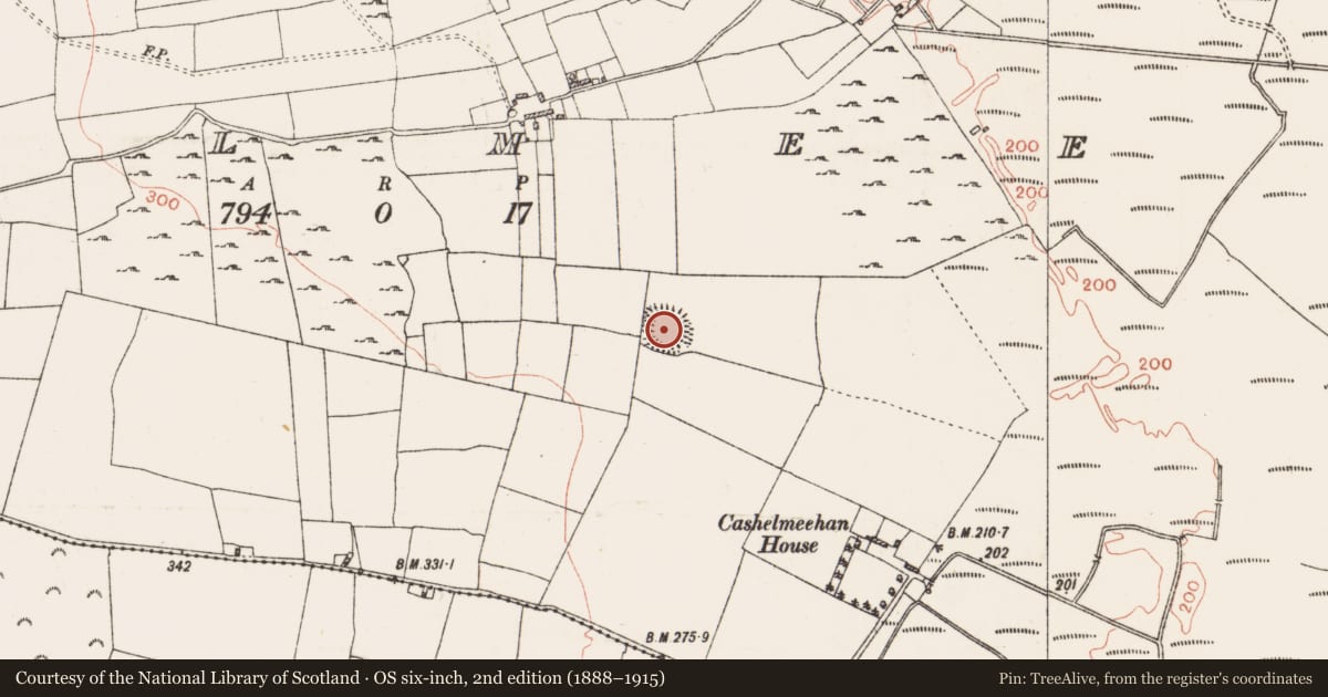 Ordnance Survey six-inch map, 2nd edition (1888–1915) covering the location of Ringfort - rath, Cashelmeehan, County Roscommon, with a pin at the register's coordinates