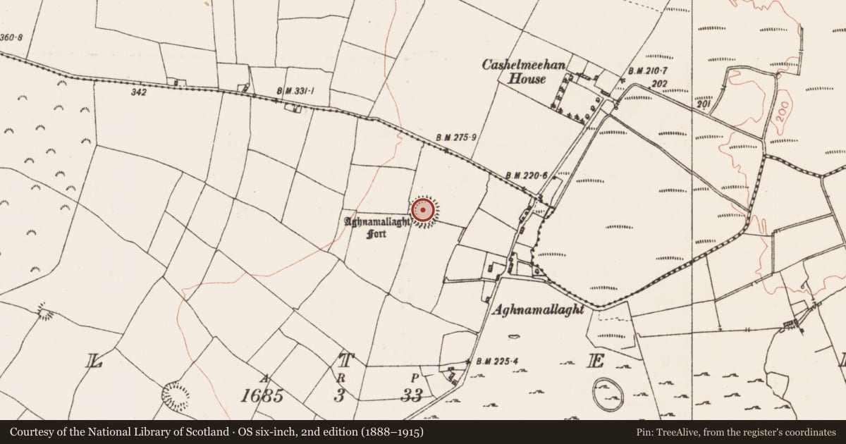 Ordnance Survey six-inch map, 2nd edition (1888–1915) covering the location of Ringfort - rath, Coolteige, County Roscommon, with a pin at the register's coordinates