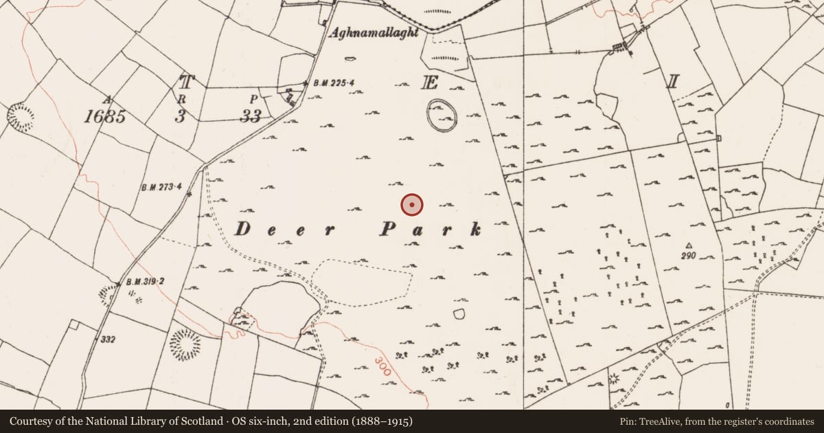 Ordnance Survey six-inch map, 2nd edition (1888–1915) covering the location of House - indeterminate date, Coolteige, County Roscommon, with a pin at the register's coordinates