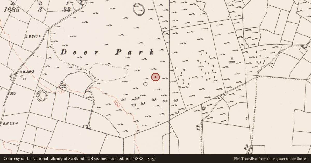 Ordnance Survey six-inch map, 2nd edition (1888–1915) covering the location of Ringfort - cashel, Coolteige, County Roscommon, with a pin at the register's coordinates