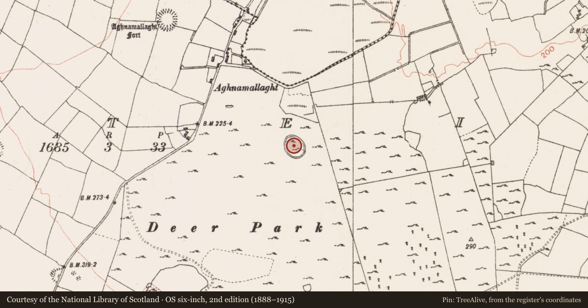 Ordnance Survey six-inch map, 2nd edition (1888–1915) covering the location of House - indeterminate date, Coolteige, County Roscommon, with a pin at the register's coordinates